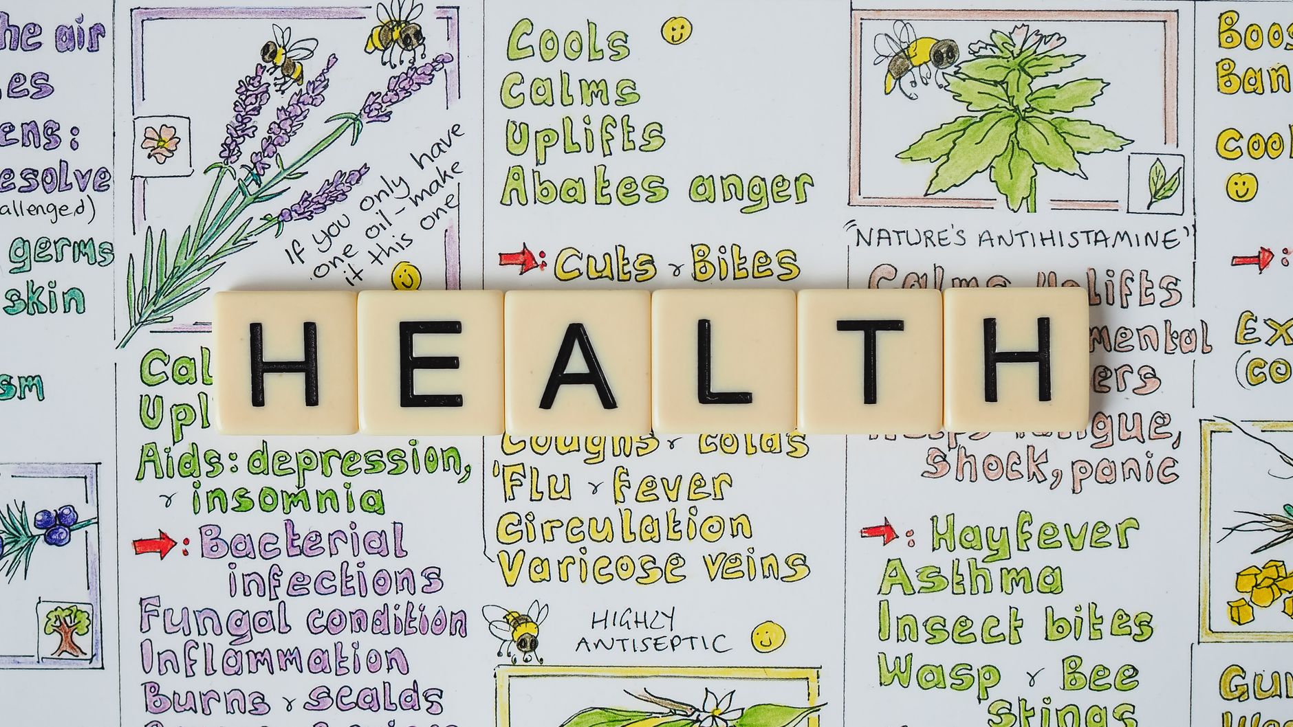 Creative representation of herbal health benefits using illustrated letter tiles spelling 'health'. — PCA Certification Enhan